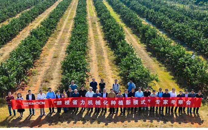 綠萌水果分選設(shè)備可進(jìn)行重量大小分級、顏色、瑕疵外觀視覺分選，無損檢測糖度，甜度，酸度、空心、浮皮、褐變、果肉損傷等內(nèi)部指標(biāo)檢測，提供智能全自動臍橙分選機(jī),臍橙分選設(shè)備,臍橙選果機(jī),臍橙選果設(shè)備,臍橙分級機(jī),臍橙稱重分揀機(jī),臍橙大小直徑選果，臍橙采后分選方案和價(jià)格