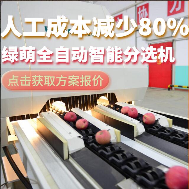 綠萌是水果智能分選設(shè)備國家高新技術(shù)企業(yè),對水果采后處理提供全套解決方案。綠萌水果分選機(jī)可進(jìn)行大小重量分級、外觀顏色分選、內(nèi)部品質(zhì)糖度檢測。提供全自動水果分選設(shè)備,水果選果機(jī),智能水果分選機(jī),全自動水果分選機(jī),水果分級機(jī),小型水果分選機(jī)，水果分級機(jī),水果稱重分選機(jī),水果重量分選機(jī),水果大小分選機(jī),水果顏色分選機(jī),水果糖度分選機(jī),配套水果清洗機(jī)、水果洗果保鮮機(jī)、水果包裝機(jī)、水果消毒滅菌殺菌機(jī),水果打蠟機(jī)。更多水果分選方案報價,小型水果選果設(shè)備價格、水果分級機(jī)怎么樣、口碑好質(zhì)量好的水果選果機(jī)、了解高性能水果分選機(jī)多少錢,咨詢客服免費(fèi)獲取