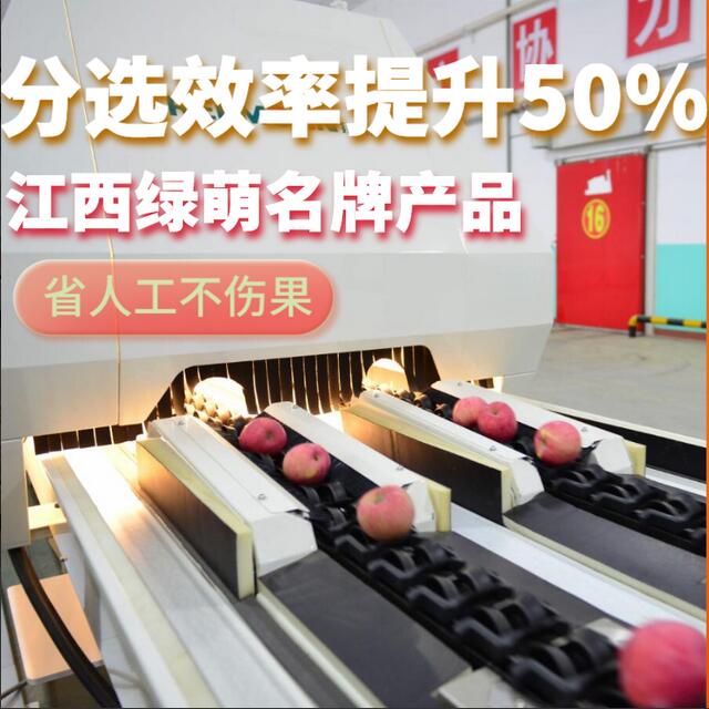 綠萌是水果智能分選設(shè)備國家高新技術(shù)企業(yè),對水果采后處理提供全套解決方案。綠萌水果分選機(jī)可進(jìn)行大小重量分級、外觀顏色分選、內(nèi)部品質(zhì)糖度檢測。提供全自動水果分選設(shè)備,水果選果機(jī),智能水果分選機(jī),全自動水果分選機(jī),水果分級機(jī),小型水果分選機(jī)，水果分級機(jī),水果稱重分選機(jī),水果重量分選機(jī),水果大小分選機(jī),水果顏色分選機(jī),水果糖度分選機(jī),配套水果清洗機(jī)、水果洗果保鮮機(jī)、水果包裝機(jī)、水果消毒滅菌殺菌機(jī),水果打蠟機(jī)。更多水果分選方案報價,小型水果選果設(shè)備價格、水果分級機(jī)怎么樣、口碑好質(zhì)量好的水果選果機(jī)、了解高性能水果分選機(jī)多少錢,咨詢客服免費(fèi)獲取