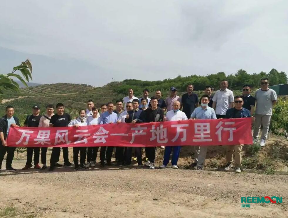 綠萌自動化櫻桃分選設(shè)備亮相甘肅天水引起各界廣泛關(guān)注 5月29日，綠萌櫻桃自動化分揀生產(chǎn)線在甘