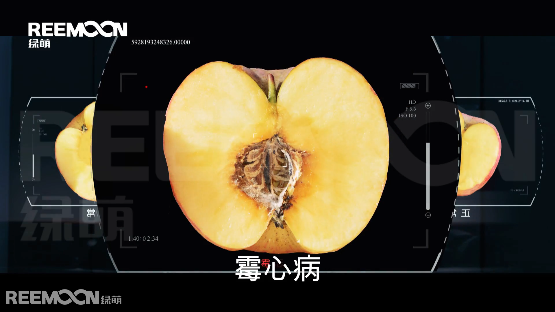 內(nèi)部檢測(cè)2.png