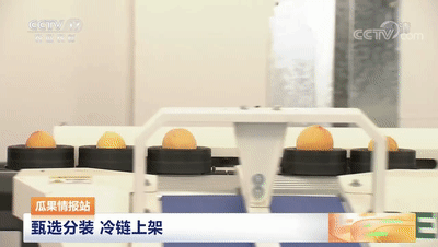 黃桃.gif