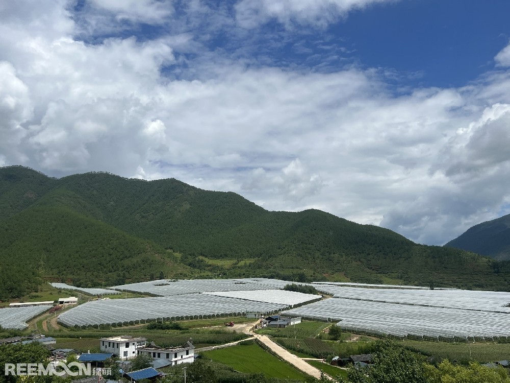 麗江市蘋果種植主產(chǎn)區(qū)海拔2400-2700米，良好的立體環(huán)境條件造就了麗江蘋果糖度高、果肉緊密、硬度高、無污染的品質(zhì)特點。2019年，在全國種植產(chǎn)區(qū)的甄選中，鑫榮懋選定了云南省麗江市蘋果優(yōu)勢產(chǎn)區(qū)作為未來蘋果種植項目的實施地，目前已種植新西蘭引進的優(yōu)良蘋果品種。鑫榮懋以新品種、新技術(shù)及高品質(zhì)為發(fā)展蘋果種植的新契機，