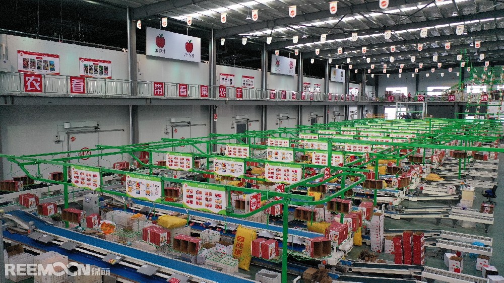 6月11日，走進(jìn)洛川縣蘋果現(xiàn)代產(chǎn)業(yè)園區(qū)，在延安自然搭檔農(nóng)業(yè)發(fā)展有限公司智能分選車間，機(jī)械轟鳴，人頭攢動(dòng)，幾十名工人有條不紊地在分選線上忙碌著。一個(gè)個(gè)色澤紅潤(rùn)、大小勻稱的蘋果，正通過圓形硅膠托盤運(yùn)上智能選果線，經(jīng)過檢測(cè)通道依次歸位，按照重量、甜度等被分成數(shù)個(gè)等級(jí)。工人們麻利地把分級(jí)后蘋果擺放至果箱內(nèi)，進(jìn)行